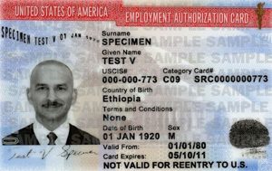 Form I-765 and the Employment Authorization Document